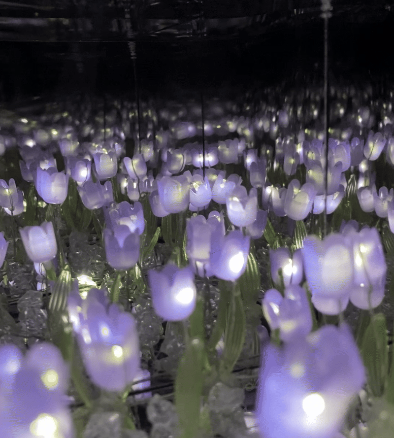 Lámpara de Tulipanes Infinitos
