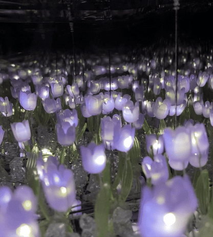 Lámpara de Tulipanes Infinitos